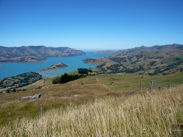 New Zealand 09 10  199